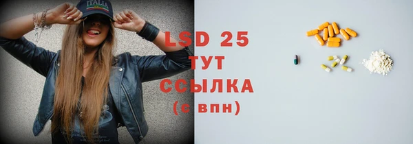 прущие грибы Вяземский
