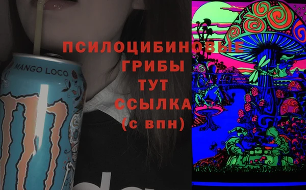 прущий лед Вязьма