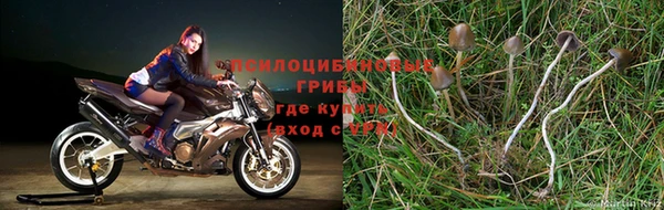 МДПВ Вязники