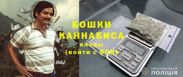 индика Инсар