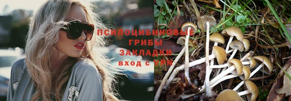 ECSTASY Волосово
