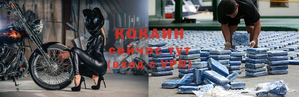 гидра Волоколамск