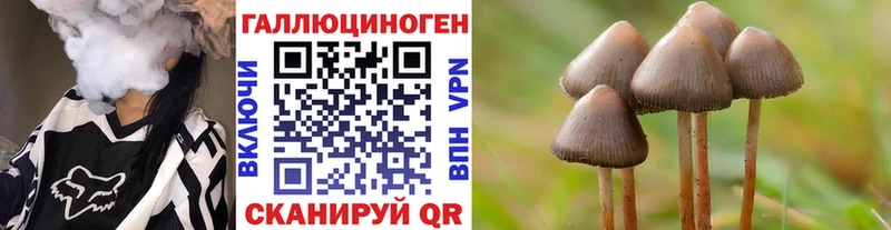 купить  сайты  Знаменск  Псилоцибиновые грибы мухоморы 